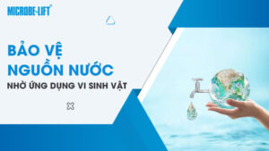 Bảo vệ nguồn nước nhờ ứng dụng vi sinh vật