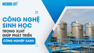 Công nghệ sinh học trong xlnt giúp phát triển công nghiệp xanh
