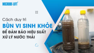 Cách duy trì bùn vi sinh khỏe để đảm bảo hiệu suất xử lý nước thải