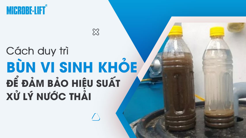 Cách duy trì bùn vi sinh khỏe để đảm bảo hiệu suất xử lý nước thải 1 Cách duy trì bùn vi sinh khỏe để đảm bảo hiệu suất xử lý nước thải