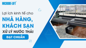 Lợi ích kinh tế cho nhà hàng, khách sạn đầu tư xử lý nước thải đạt chuẩn
