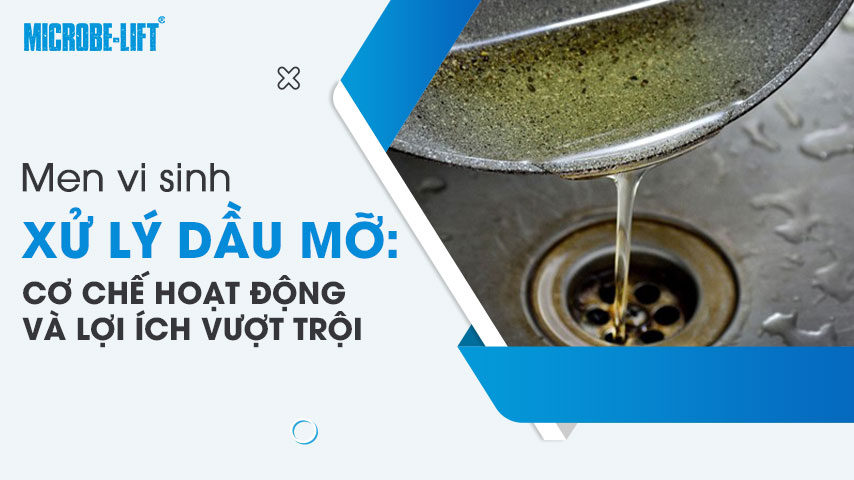 Men vi sinh xử lý dầu mỡ: Cơ chế hoạt động và lợi ích vượt trội 1 Men vi sinh xử lý dầu mỡ: Cơ chế hoạt động và lợi ích vượt trội