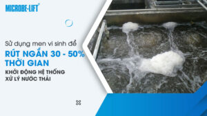 Sử dụng men vi sinh để rút ngắn 30 - 50% thời gian khởi động hệ thống xử lý nước thải