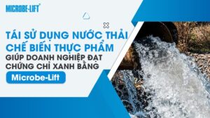 Tái sử dụng nước thải chế biến thực phẩm giúp doanh nghiệp đạt chứng chỉ xanh bằng Microbe-Lift