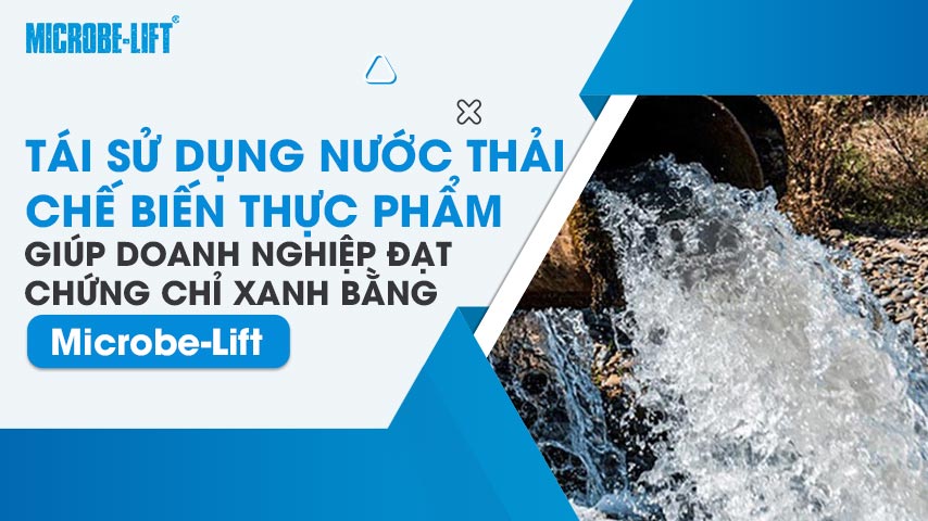 Tái sử dụng nước thải chế biến thực phẩm giúp doanh nghiệp đạt chứng chỉ xanh bằng Microbe-Lift 1 Tái sử dụng nước thải chế biến thực phẩm giúp doanh nghiệp đạt chứng chỉ xanh bằng Microbe-Lift