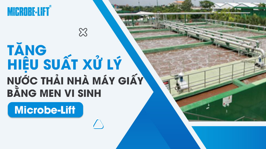 Tăng hiệu suất xử lý nước thải nhà máy giấy bằng men vi sinh Microbe-Lift 1 Tăng hiệu suất xử lý nước thải nhà máy giấy bằng men vi sinh Microbe-Lift
