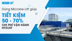 Dùng Microbe-Lift giúp tiết kiệm 50 - 70% chi phí vận hành HTXLNT