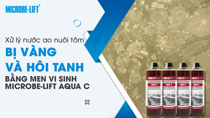 Xử lý nước ao nuôi tôm bị vàng và hôi tanh bằng Microbe-Lift AQUA C