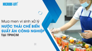 Mua men vi sinh xử lý nước thải chế biến suất ăn công nghiệp tại TPHCM