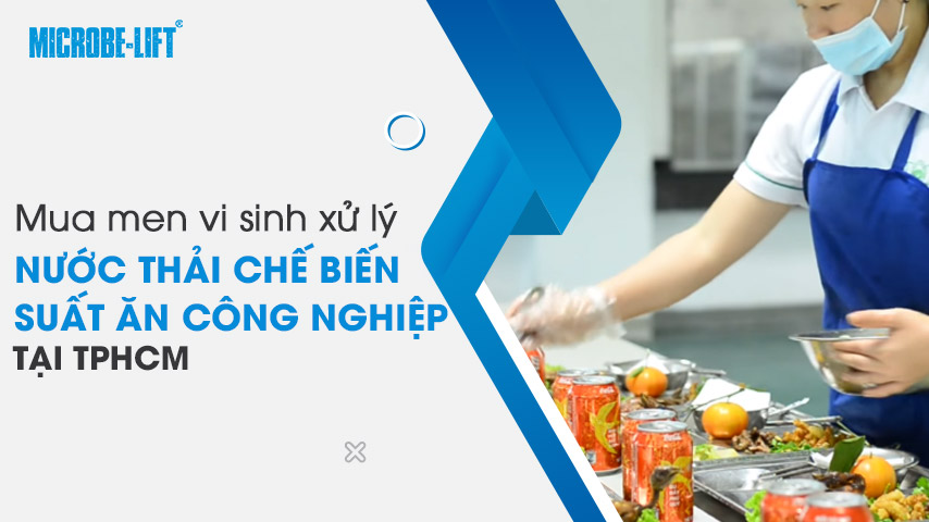 Mua men vi sinh xử lý nước thải chế biến suất ăn công nghiệp tại TPHCM