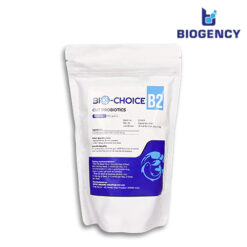 Bio-Choice B2 - Men đường ruột Lactobacillus