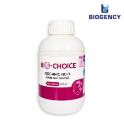 Bio-Choice B3 - Axit hữu cơ đường ruột - ức chế vi khuẩn Vibrio