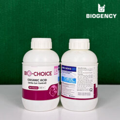 Bio-Choice B3 - Axit hữu cơ đường ruột - ức chế vi khuẩn Vibrio