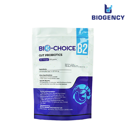 Bio-Choice B2 - Men đường ruột Lactobacillus 1 Bio-Choice B2 - Men đường ruột Lactobacillus