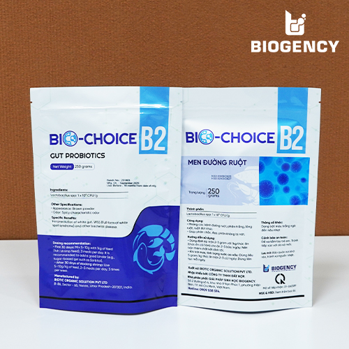 Bio-Choice B2 - Men đường ruột Lactobacillus 2 Bio-Choice B2 - Men đường ruột Lactobacillus