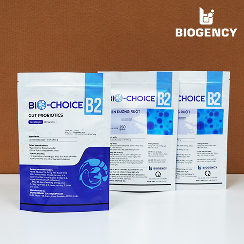 Bio-Choice B2 - Men đường ruột Lactobacillus 4 Bio-Choice B2 - Men đường ruột Lactobacillus