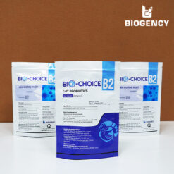 Bio-Choice B2 - Men đường ruột Lactobacillus 6 Bio-Choice B2 - Men đường ruột Lactobacillus