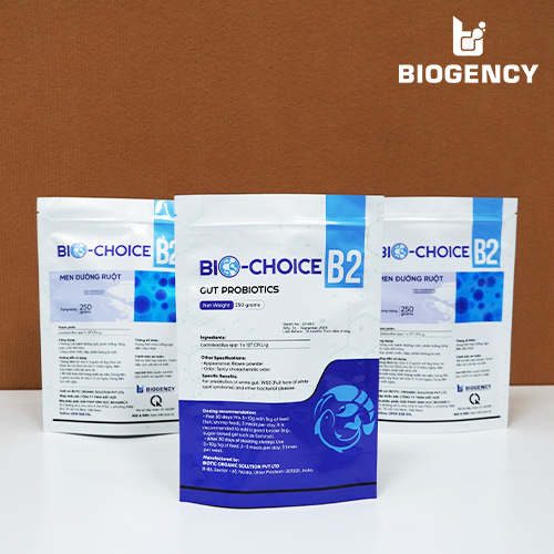 Bio-Choice B2 - Men đường ruột Lactobacillus 3 Bio-Choice B2 - Men đường ruột Lactobacillus