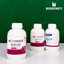 Bio-Choice B3 - Axit hữu cơ đường ruột - ức chế vi khuẩn Vibrio