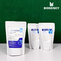 Bio-Choice B2 - Men đường ruột Lactobacillus