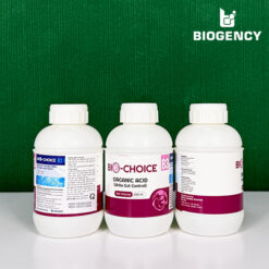 Bio-Choice B3 - Axit hữu cơ đường ruột - ức chế vi khuẩn Vibrio