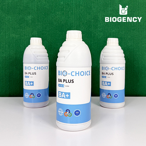 Bio-Choice BA Plus - Enzyme phân hủy chất hữu cơ 3 Bio-Choice BA Plus - Enzyme phân hủy chất hữu cơ