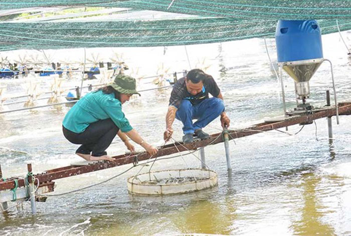 Thời tiết 2026 có xu hướng thất thường và cực đoan. Thời tiết 2026 có xu hướng thất thường và cực đoan.