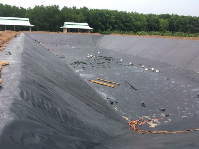 Microbe-Lift N1 & IND giúp xử lý 90% Nitơ Amonia sau hầm Biogas 2 Quá trình xử lý Nitơ Amonia sau hầm Biogas gặp nhiều khó khăn hệ thống ban đầu thiết kế chưa chuẩn.