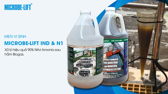 Microbe-Lift N1 & IND giúp xử lý 90% Nitơ Amonia sau hầm Biogas 4 Bộ đôi Microbe-Lift N1 & IND xử lý hiệu quả 90% Nitơ Amonia sau hầm Biogas.