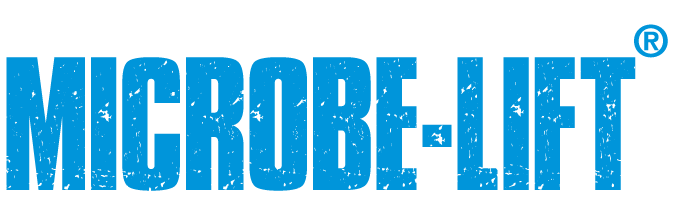 306296063 1458961067959351 2241175498430015290 n
