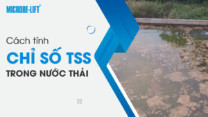 Cách tính chỉ số TSS trong nước thải