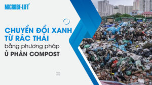 Chuyển đổi xanh từ rác thải bằng phương pháp ủ phân Compost