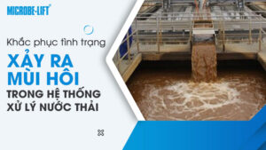 Khắc phục tình trạng xảy ra mùi hôi trong hệ thống xử lý nước thải