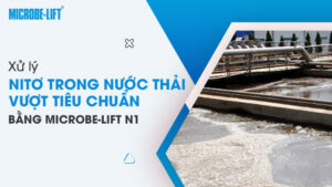 Xử lý Nitơ trong nước thải vượt tiêu chuẩn bằng Microbe-Lift N1