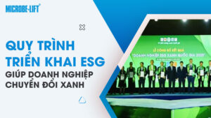 Quy trình triển khai ESG giúp doanh nghiệp chuyển đổi xanh