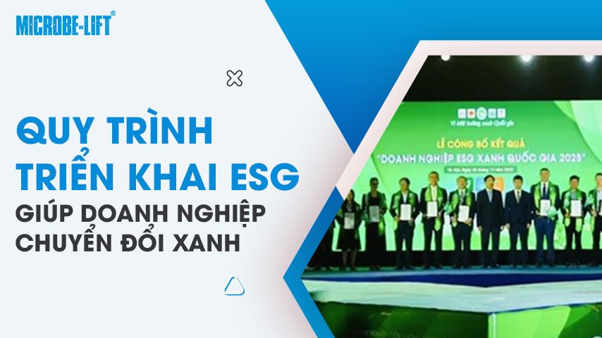 Quy trình triển khai ESG giúp doanh nghiệp chuyển đổi xanh