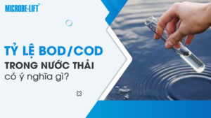 Tỷ lệ BOD/COD trong nước thải có ý nghĩa gì?
