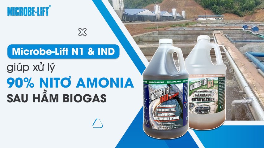 Microbe-Lift N1 & IND giúp xử lý 90% Nitơ Amonia sau hầm Biogas 1 Microbe-Lift N1 & IND giúp xử lý 90% Nitơ Amonia sau hầm Biogas