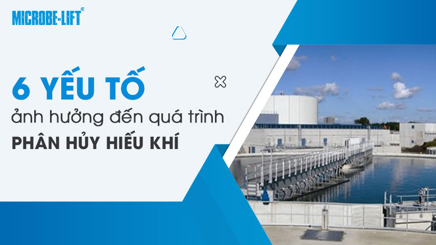6 yếu tố ảnh hưởng đến quá trình phân hủy hiếu khí