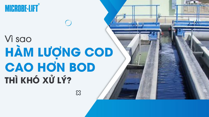 Vì sao hàm lượng COD cao hơn BOD thì khó xử lý?