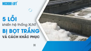 5 lỗi khiến hệ thống XLNT bị bọt trắng và cách khắc phục