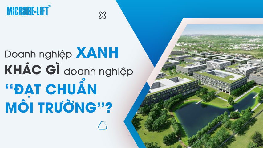 Doanh nghiệp xanh khác gì doanh nghiệp “đạt chuẩn môi trường”?