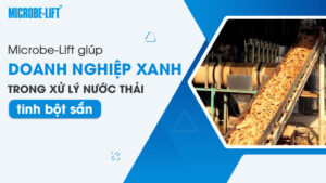 Microbe-Lift giúp doanh nghiệp xanh trong xử lý nước thải tinh bột sắn