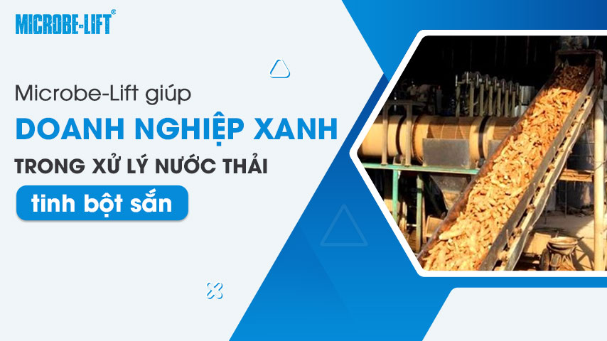 Microbe-Lift giúp doanh nghiệp xanh trong xử lý nước thải tinh bột sắn