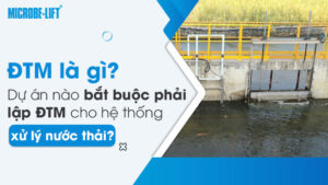 ĐTM là gì? Dự án nào bắt buộc phải lập ĐTM cho hệ thống xử lý nước thải?