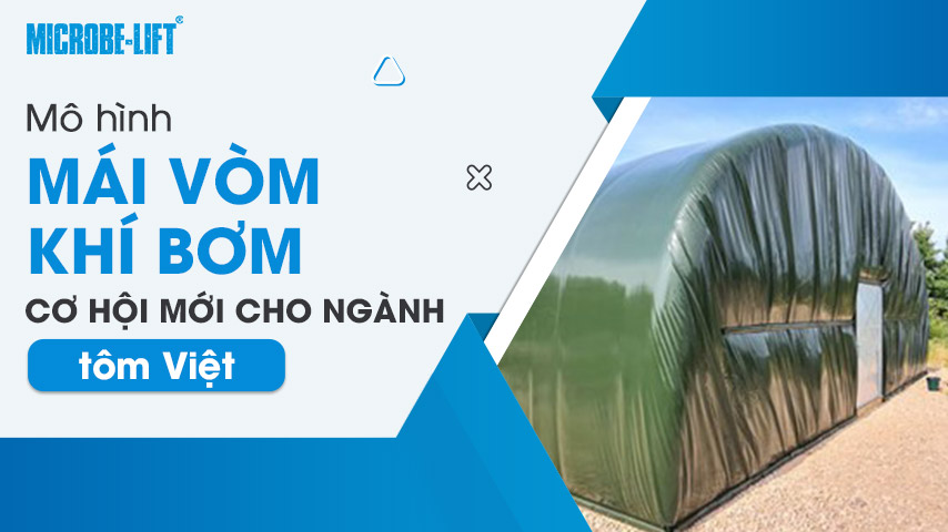 Mô hình mái vòm khí bơm - Cơ hội mới cho ngành tôm Việt