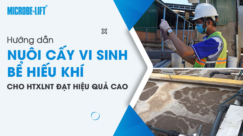 Hướng dẫn nuôi cấy vi sinh bể hiếu khí cho HTXLNT đạt hiệu quả cao