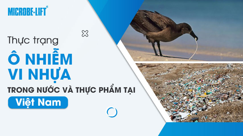 Thực trạng ô nhiễm vi nhựa trong nước và thực phẩm tại Việt Nam