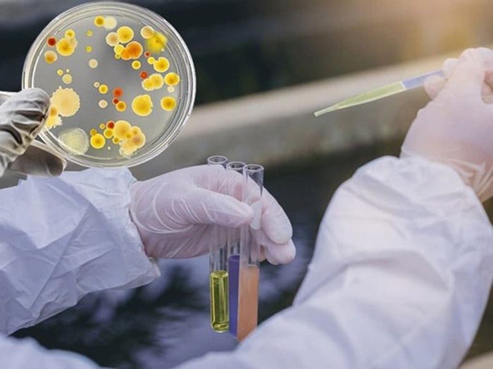 Công nghệ sinh học trong chuyển đổi xanh ngành môi trường 2 Công nghệ sinh học hướng đến bảo vệ môi trường bền vững.