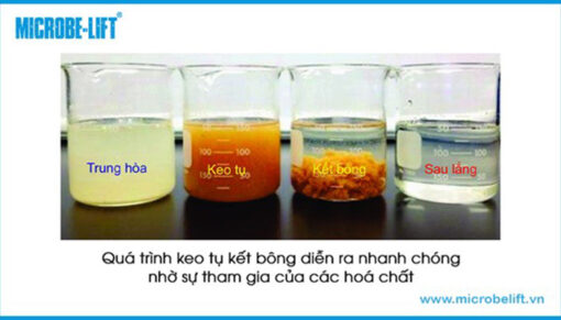 So sánh tác động môi trường của vi sinh và hóa chất trong XLNT ...